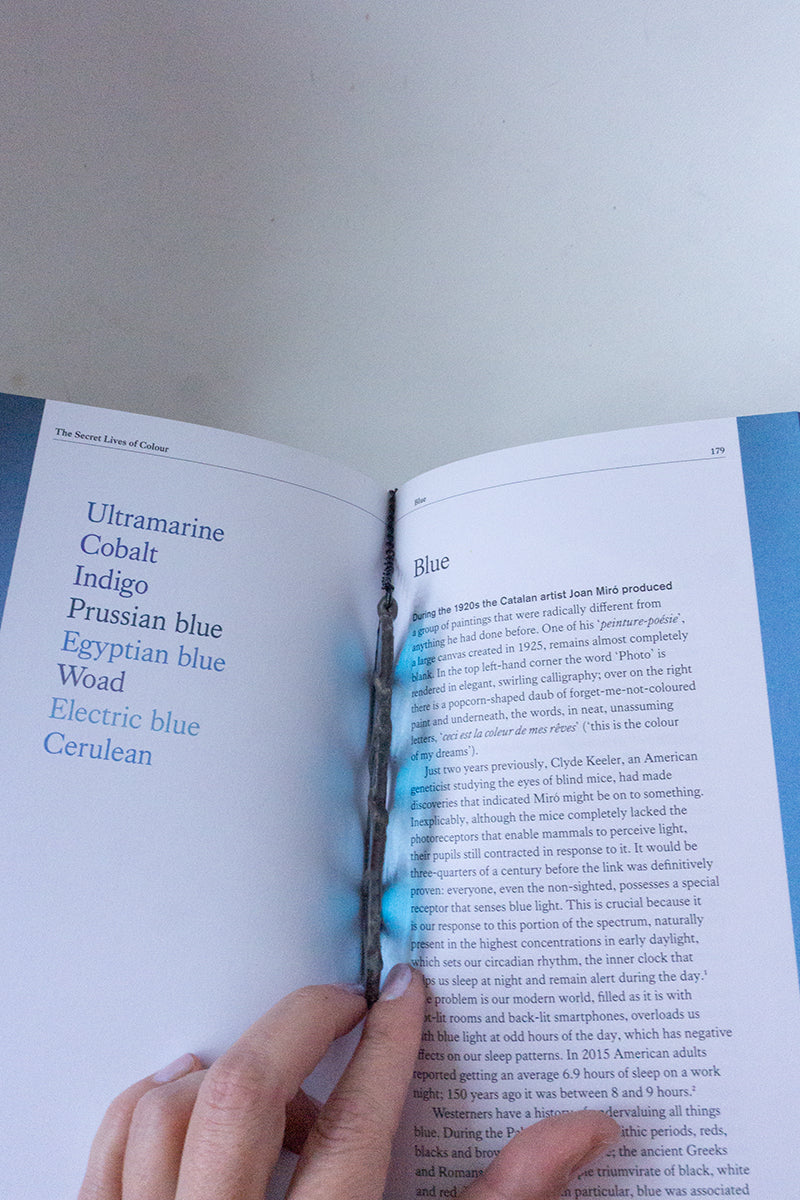 Blue Bookworm